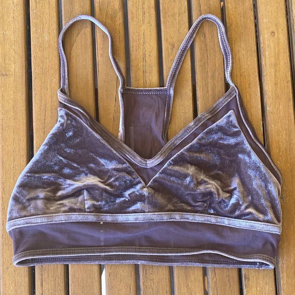 Velvet Alo Yoga Sports Bra